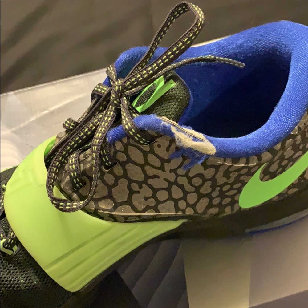 KD 7 Electric Eel - Picture 6 of 6